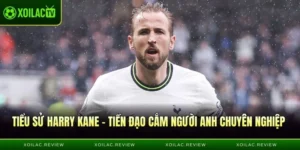Tiểu Sử Harry Kane - Tiền Đạo Cắm Người Anh Chuyên Nghiệp